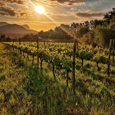 Glamping At The Well In Franschhoek Exterior photo